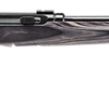 A17 TARGET SPORTER LAMINATE