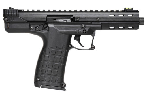 Kel-Tec CP33 22LR Pistol with Two 33-Round Magazines