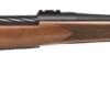 Mossberg Patriot Bolt Action Rifle 27876, 25-06 Remington, 22", Walnut Stock, Blued Finish, 5 Rds