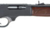 Steel Lever Action 42-50